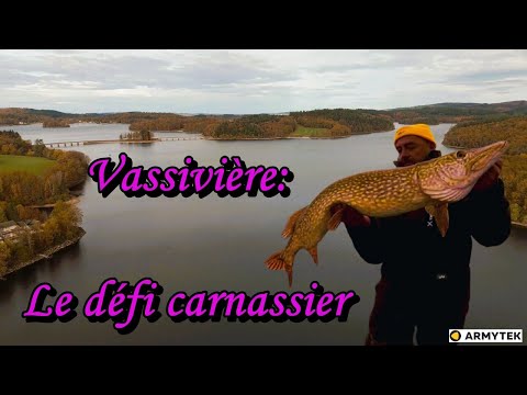 Predator Fishing At Lake Vassivière XXL Pike Zander Armytek Wizard C2