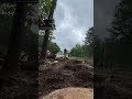 great pine throw