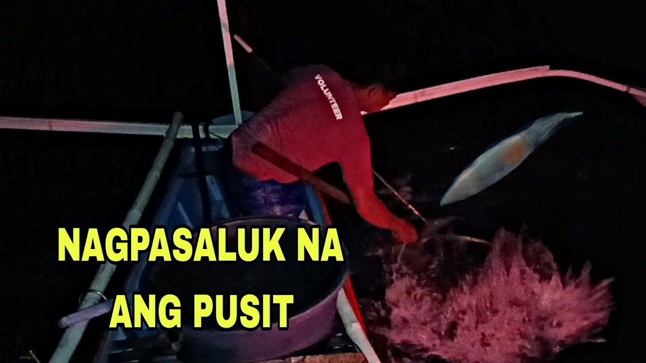Nagpasaluk na ang pusit