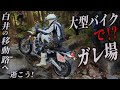 バイク転倒不可避ｗ名所！白井 移動路に車重220㎏越えのビッグオフでチャレンジ！大型 トライアンフ スクランブラー1200