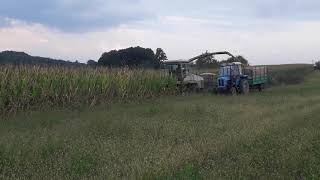 Silaza 2018 Claas Jaguar 685 - Zadrugar 50