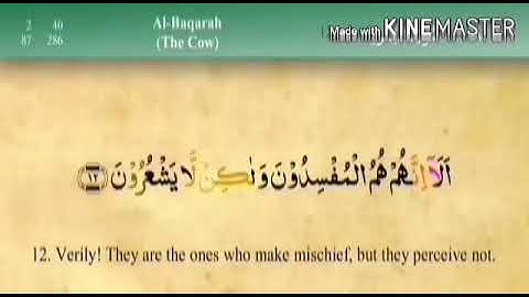 سورة  البقرة  من  الاية  ( 11 )  الى  الاية  ( 16 )  مكررة  للحفظ