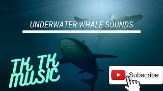 Underwater Whale Sounds  Full 60 Minute Ambient Soundscape