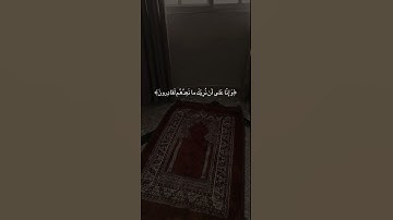 سورة المؤمنون - #رعد_الكردي #اكسبلور #explore