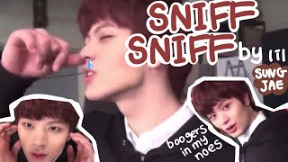 [BTOB] baby sungjae singing ‘sniff sniff’ instead of ‘beep beep’