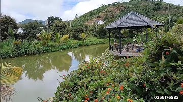 Bảo Lộc _ Phường 3 (Đại Lào) 7548m² chia 2 sổ hồng, 400m² thổ cư . Ql20 3km. 900tr/1000m².