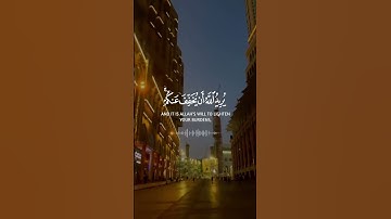 ‏﴿وَاللهُ يُرِيدُ أن يَتُوبَ عَلَيكُم﴾ • ￼تلاوة خاشعة القارئ سعد الغامدي 🎧❤️