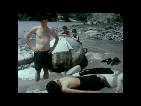 \"კუკარაჩა\" - მეხუთე კლასში ჩარჩენილი მაგელანი (KUKARACHA)