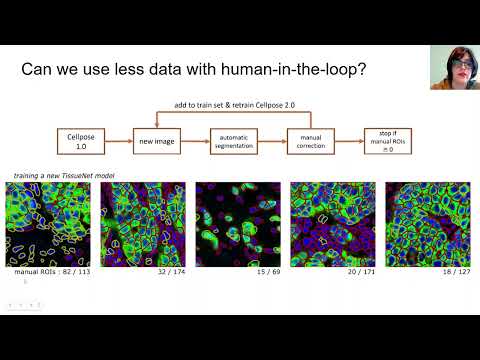 cellpose 2.0: how to train your own cellular segmentation model