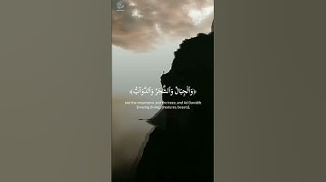 #قران_كريم_راحة_نفسية #القارئ #القران_الكريم #الشيخ #عبد_العزيز_سحيم #عبدالرحمن_سعد #ناصر_القطامي