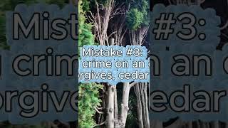 The pruning mistake that ruins cedar hedges |Darrell Smith