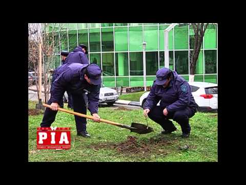 შინაგან საქმეთა მინისტრმა გამწვანების აქციაში მიიღო მონაწილეობა