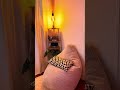 Love this kind of Chilling vibes inside my Gaming Room #gaming #gamer #ps5setup #ps5 #goty #setup