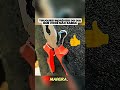 ciência #shortvideo #truques #experimentos