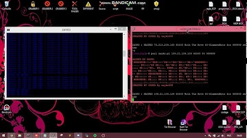 VPS [30 GBPS] by ZAYKO |description| (10€)