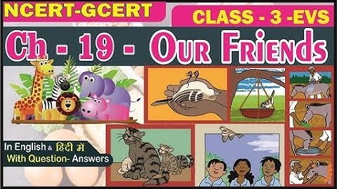 Our Friends II Class 3 EVS Chapter 19 II Our Friends Animals