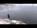 NORWAY ,fishing  Saltstraumen