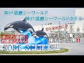 【オープン直前】神戸須磨シーワールド&ホテルの内部を大公開✨メディア内覧会に行ってきた‼️