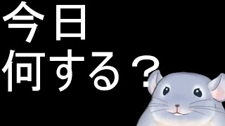 【雑談】4/28：マジでなにをするか決めてないけど配信したいからとりあえず開始した着ぐるみチンチラ！！！！！/Fade【新人Vtuber】
