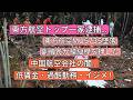 東方航空MU5735墜落、副機長が操縦桿を押した！東方航空トップ一家逮捕…！中国航空会社の闇…低賃金・過酷勤務・いじめ