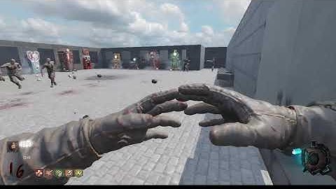 Black Ops 3: (Custom Zombies) 20 Window Challenge! *Difficult*