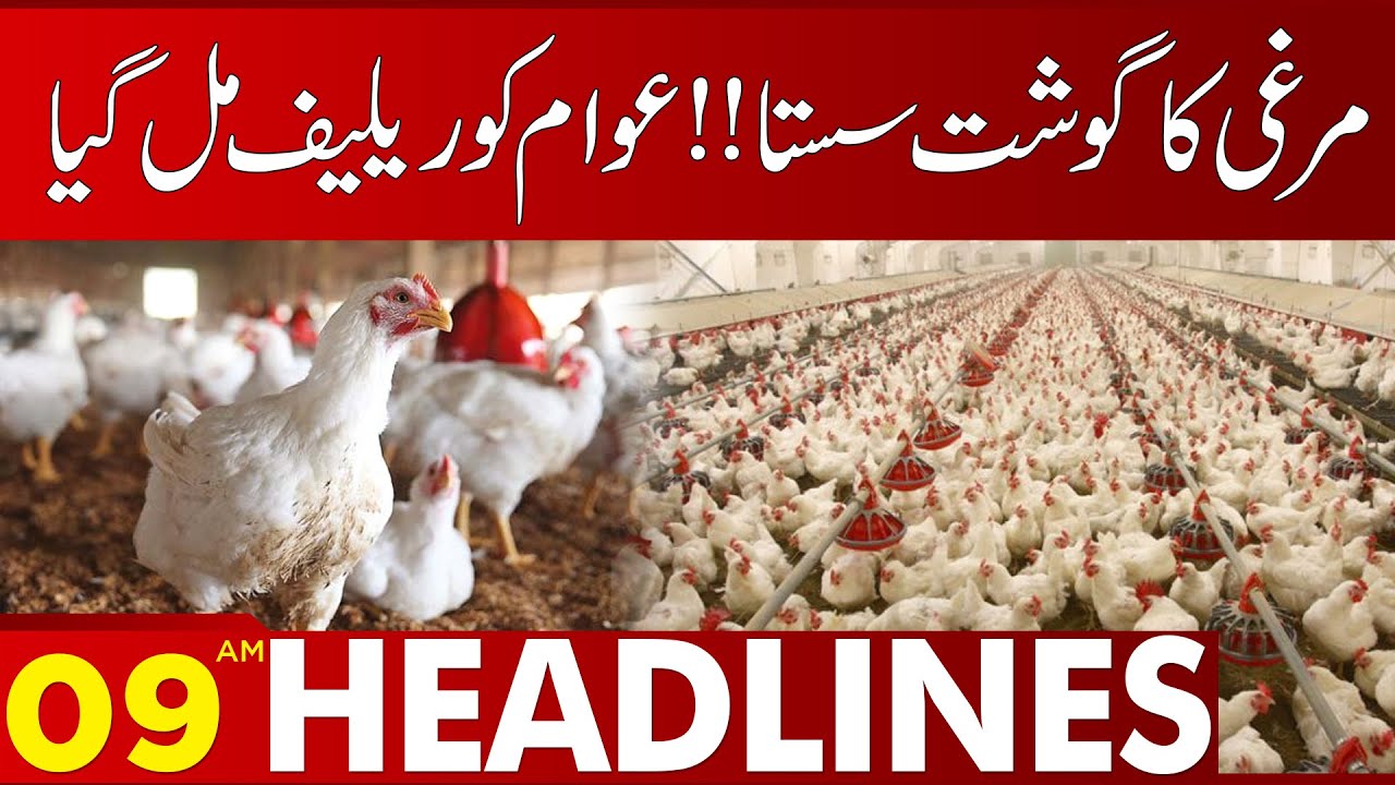 Chicken Price Decreases 0900 AM News Headlines 29 August 2023