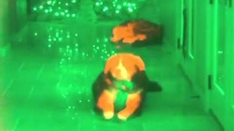 Sensor Fusion of night vision thermal imaging FLIR SWIR LWIR MWIR image fusing ENVG AN/PSQ-20