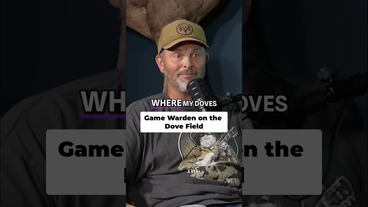 Охотничий инспектор обвинил меня в том, что я прячу голубей!