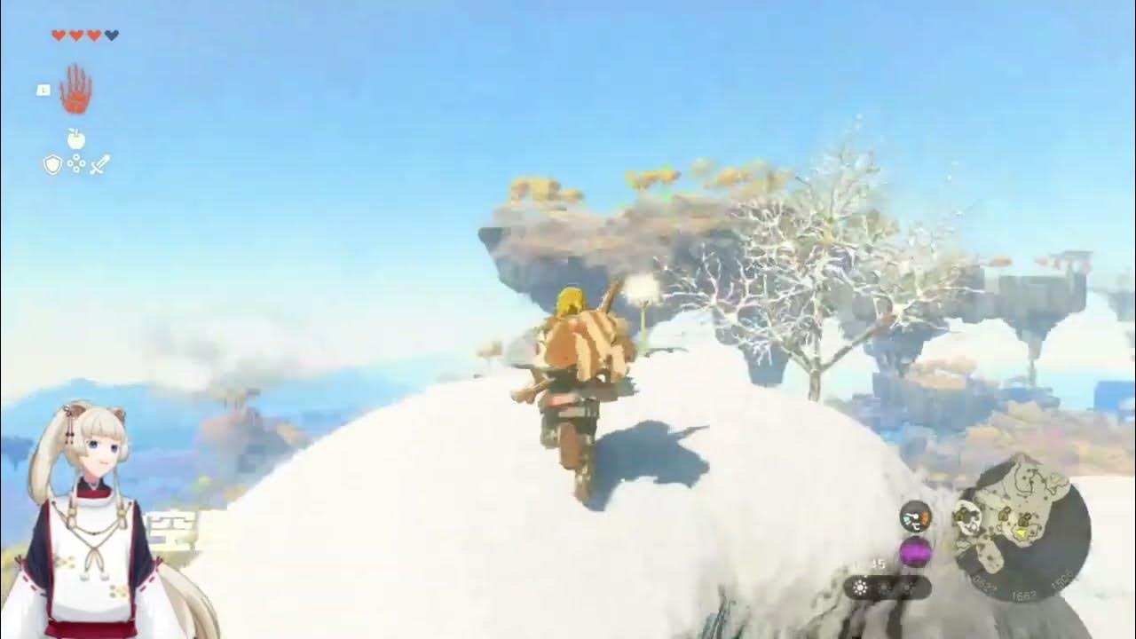 當看到蒲公英時 【薩爾達王國之淚】 Dandelion in The Legend of Zelda Tears of the Kingdom