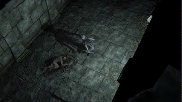 New creature in the Dungeon