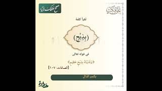 صحح نطقك لآية | كيف تُقرأ كلمة (بِذِبْحٍ) في قوله تعالى: ﴿وفدَينَاهُ بذِبْحٍ عظِيمٍ﴾ [الصافات: ١٠٧]؟