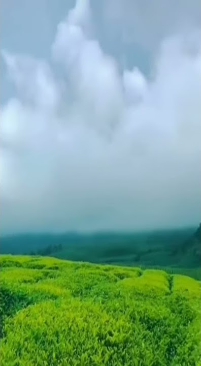 #SToRy wa minang terbaru#lagu minang terpopuler
