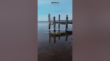 وتولى عنهم وقال يا أسفى على يوسف _ تلاوة خاشعة مبكية من سورة يوسف_ القارئ إسلام صبحي _ اسمع بقلبك ♥️