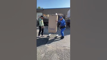 📦 Moving Mishaps: The Dolly Dilemma 🥴
