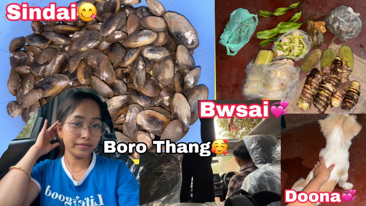 Maitrang berai na thang mani Tm Tm Nok ni mwikwthwng tobokha Swng 🥰||  @shelidailyvlog 