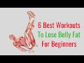 6 Best Workouts to Lose Belly Fat for Beginners - Full Body Workout Fitness