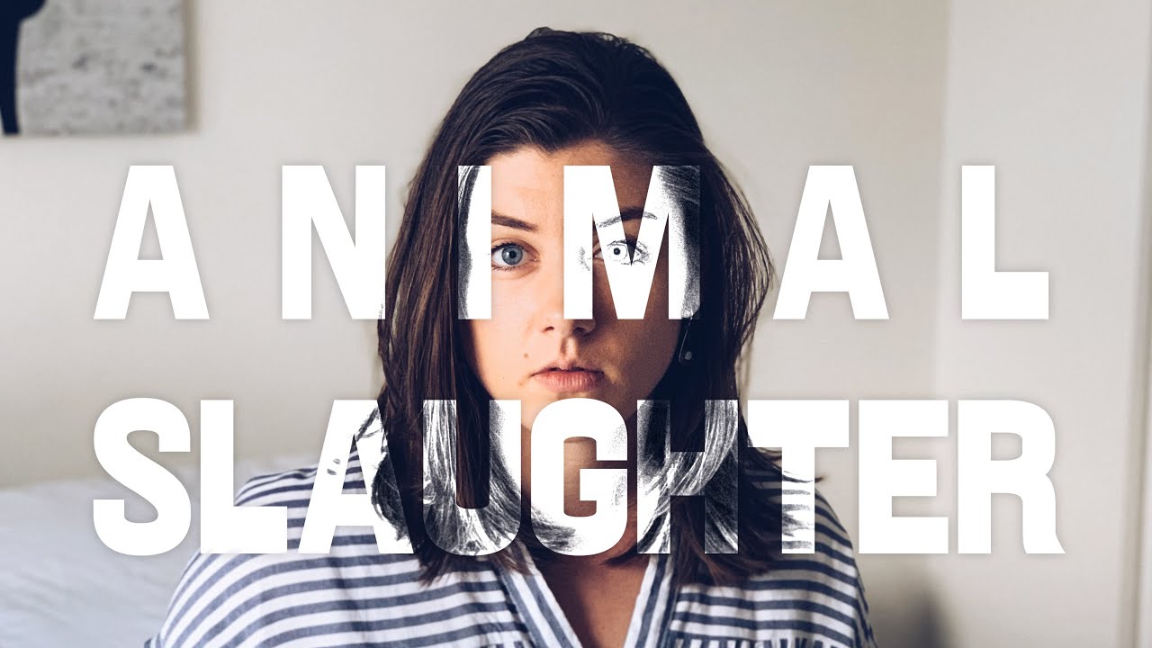 my thoughts lately… Veganism, Animal Slaughter, and Pro Metabolic Lifestyle | Sally Hand