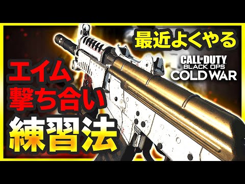 【CoD:BOCW】短い時間でもサクッとできるエイム・撃ち合い練習法(モード)【CoD:BOCW:実況Vol.48】【ぐっぴー】