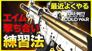 【CoD:BOCW】短い時間でもサクッとできるエイム・撃ち合い練習法(モード)【CoD:BOCW:実況Vol.48】【ぐっぴー】