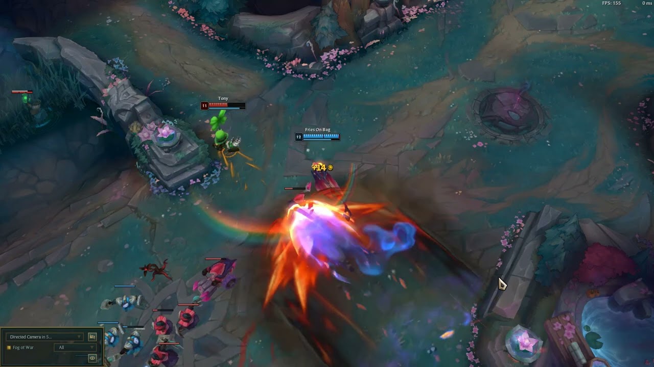 TROUTHOUSE SOLO ON TWIPO