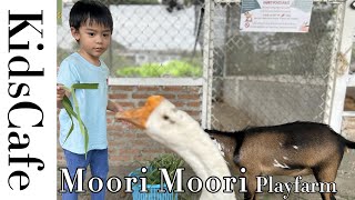 Moori Moori Playfarm | คาเฟ่เด็ก | KidsCafe