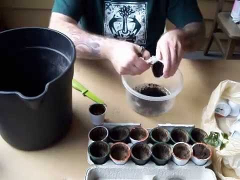 How To Recycle K Cups For Use In Urban GardeningMOV How To Recycle K Cups For Use In Urban GardeningMOV