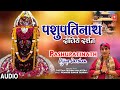 पशुपतिनाथ दीजिये दर्शन Pashupatinath Dijiye Darshan |🙏Shiv Bhajan🙏| CHETTAN KRISHNA MALHOTRA | Audio