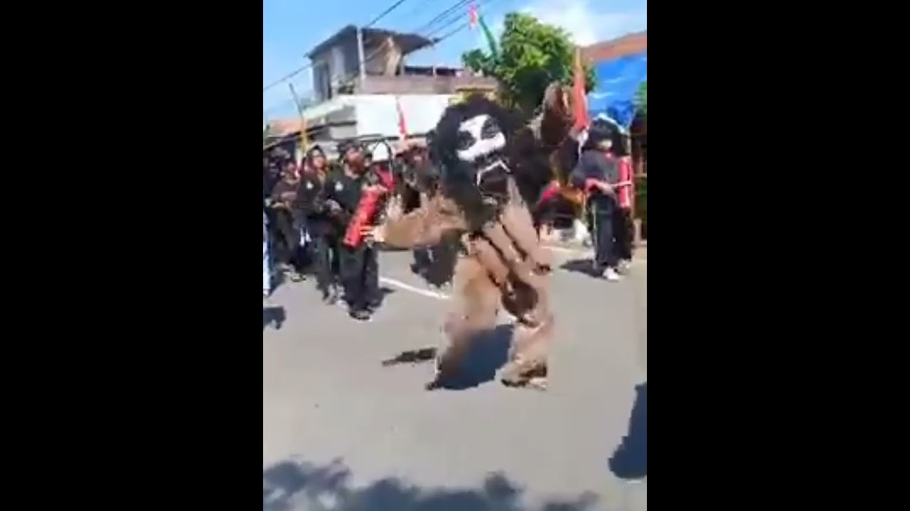 Dongkrek Mejayan in Action "Dalam Kirab Budaya dan Bersih Desa Mejayan" The Culture is our identity