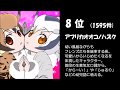 【ランキング動画】けものフレンズ人気キャラTOP10(pixivランキング)Kemono Friends character  popularity ranking from 10th to 1st