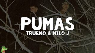 Trueno, Milo J - PUMAS (Letra)