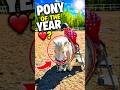 🐴 This Pony Waited So Patiently for Her! ❤️🥹 #shorts #pony