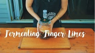 How To Ferment Finger Limes