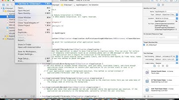 Zoduna C DataStore on IOS with Objective-C Example Program Tutorial