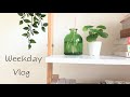 Simple everyday life: Last vlog of 2020 - Ordinary WFH day, MUJI diffuser, packing a care pack